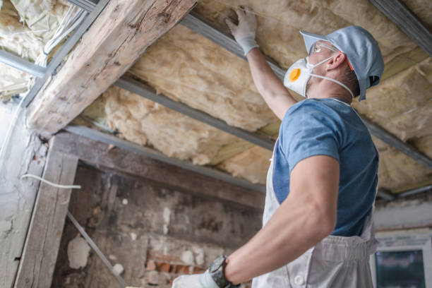 Best Types of Insulation in Westminster, MD